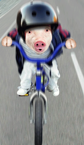 image003.gif