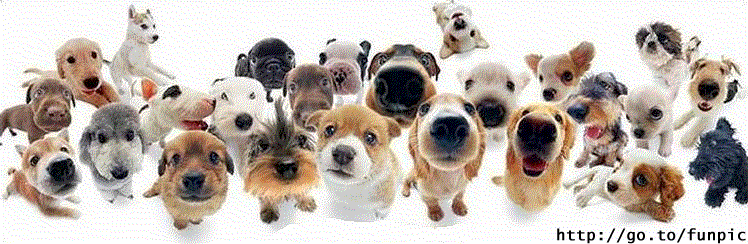 image002.gif