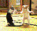 image004.gif